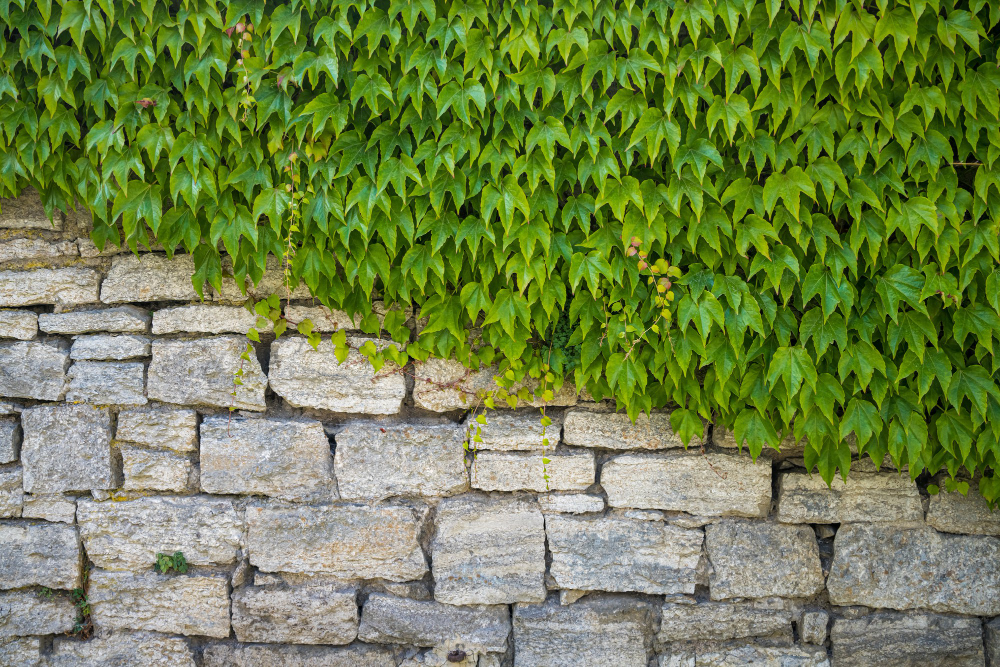 Muret de jardin en pierre naturelle