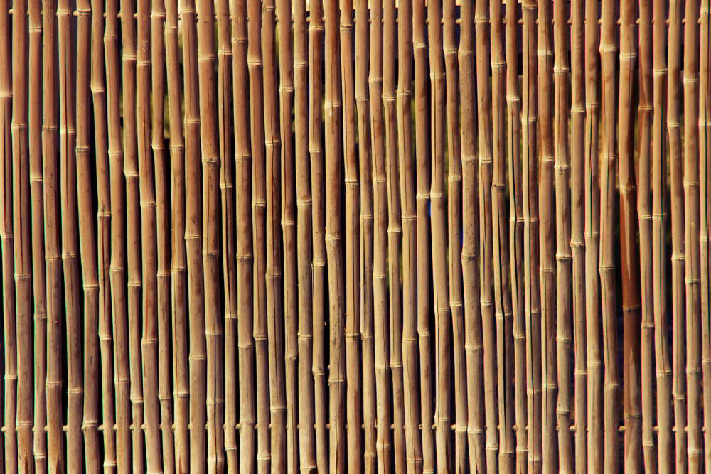 Clôture en bambou pour jardin écologique