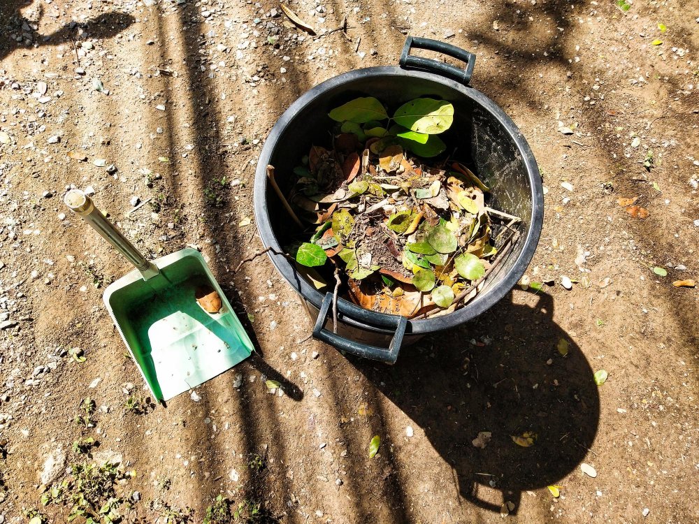 Secrets d'un compost réussi
